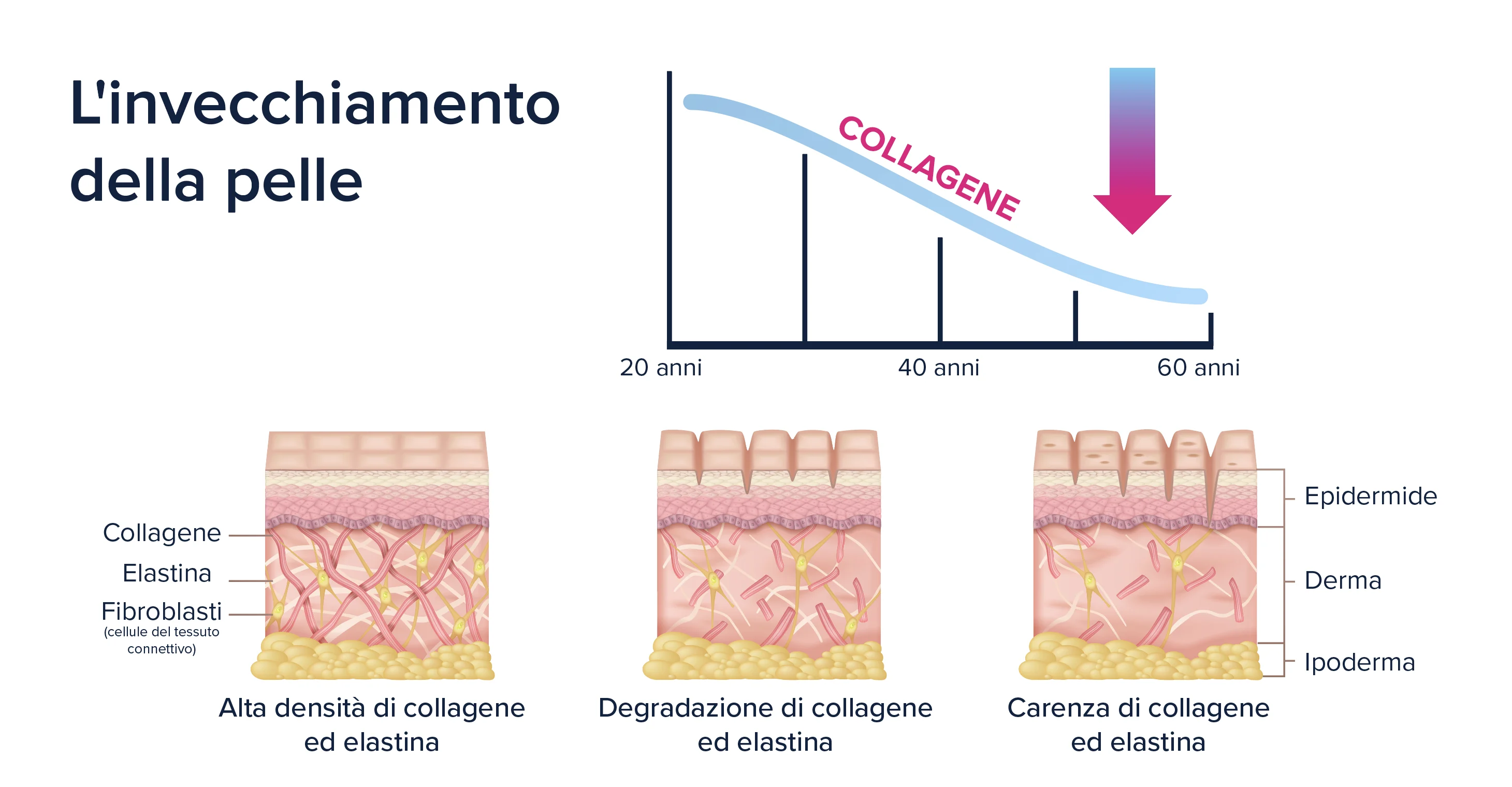 trattamenti antiage, skincare antiage, prodotti antiage, routine quotidiana antiage